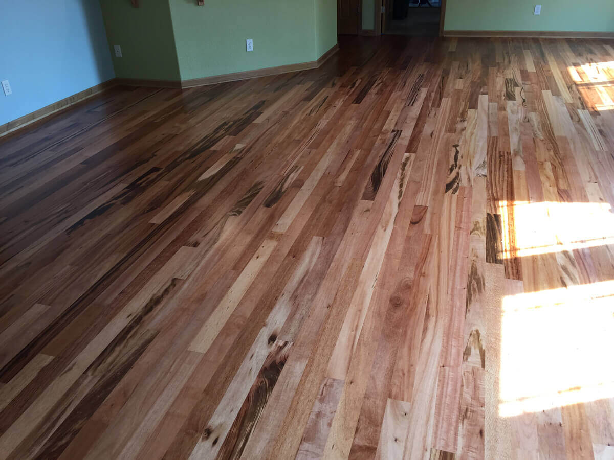 Hardwood Floors Natural Sunlight