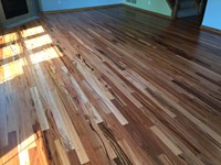 Hardwood Floors Natural Sunlight